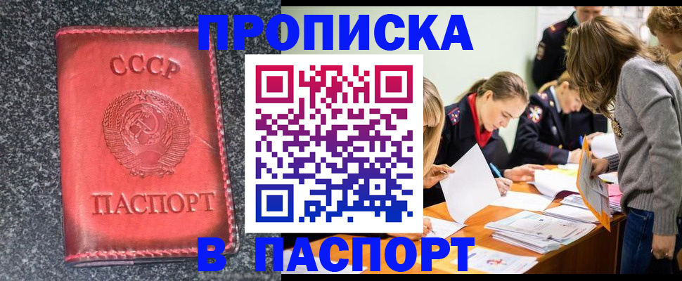 прописка для школы в Петровске